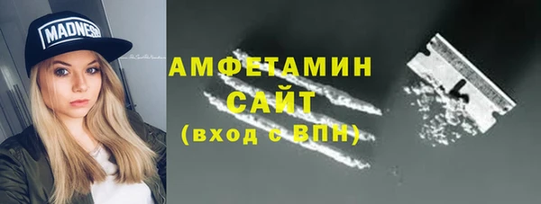 индика Алзамай