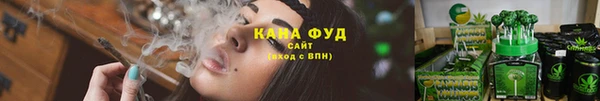 индика Алзамай
