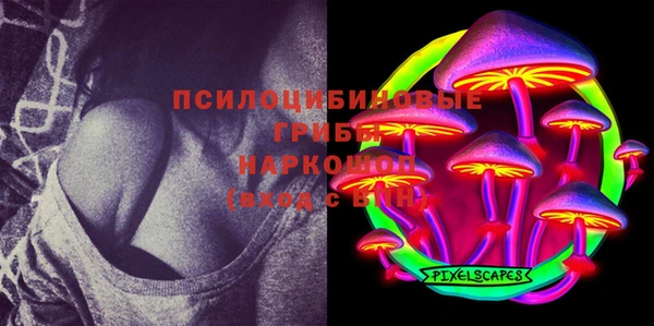 индика Алзамай