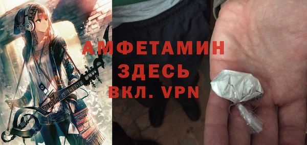 индика Алзамай