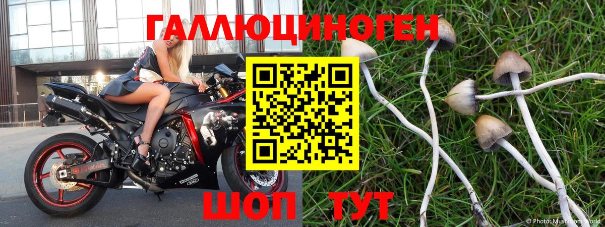 Галлюциногенные грибы ЛСД Камышин